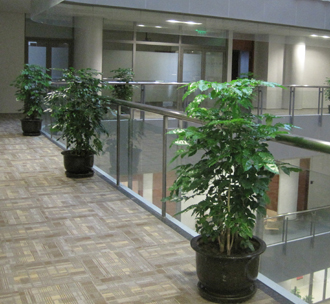 �����̻�����ֲ��